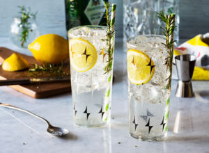 Cocktails mit Gin Gin Cocktails
