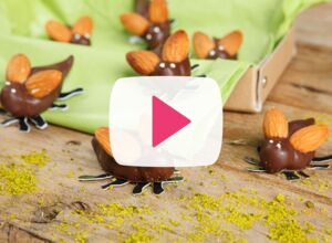 schoko-maikäfer-teaser