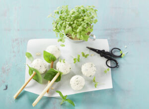 Frischkäse-Pops Frischkäse-Pops mit Grissini-Stiel
