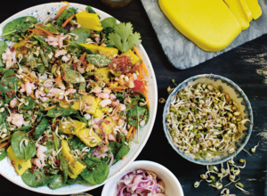 lauwarmer-tofu-salat