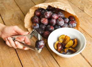 Pflaumenentsteiner im Test