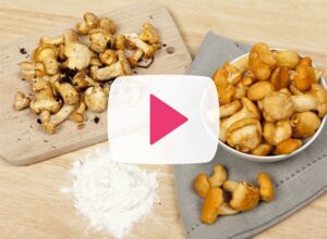 Pfifferlinge-waschen-teaser