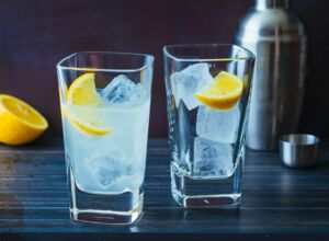 Gin Fizz  Gin Fizz