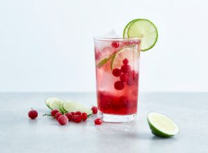 Limetten-Cranberry Limonade ohne Zucker Limetten-Canberry-Limonade