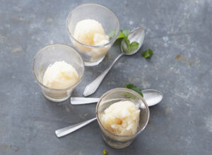 Champagner-Sorbet champagner-sorbet