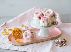 Frozen Yogurt Bites frozen yogurt bites