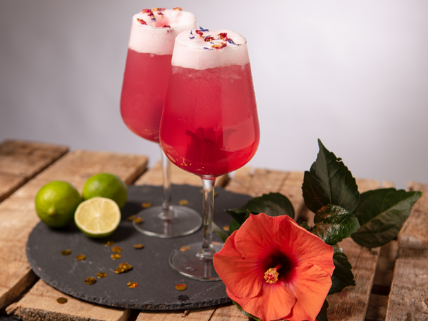 Gin-Cocktail mit Hibiskusblüte hibiskus-gin