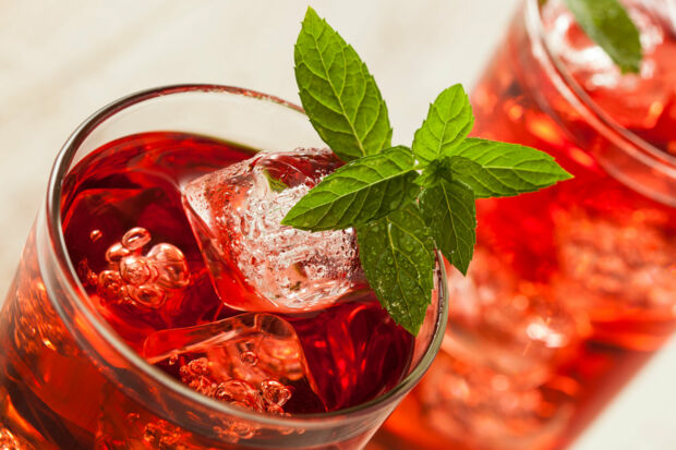 Hibiskus-Eistee mit Cranberrysaft Hibiskus-Eistee