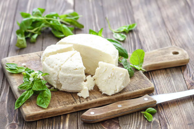 Veganen Weichkäse selber machen veganer Weichkäse