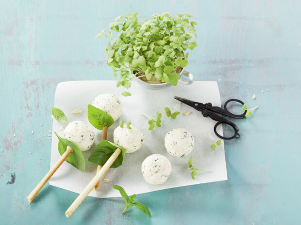 Frischkäse-Pops Frischkäse-Pops mit Grissini-Stiel