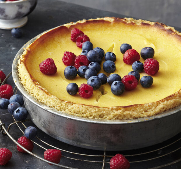 veganer Käsekuchen mit Tofu veganer Käsekuchen