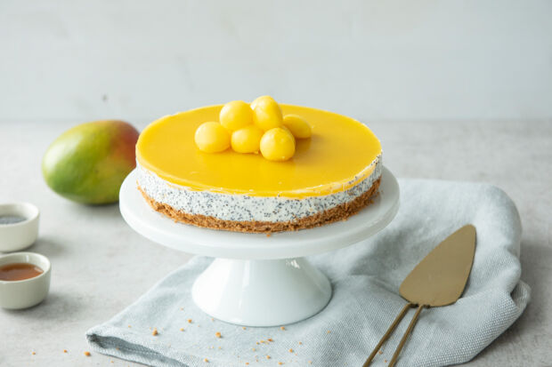 Protein-Mohn-Kuchen mit Mangospiegel protein-mohn-torte