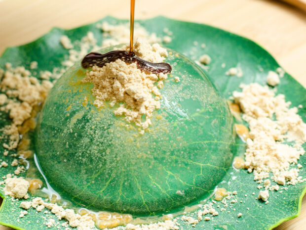 Raindrop Cake Raindrop Cake