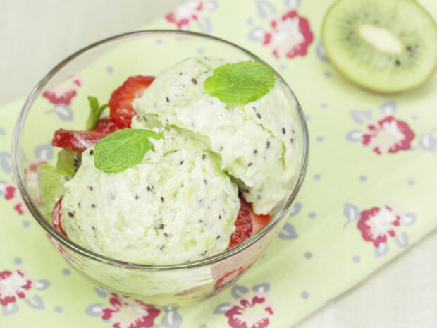 Kiwi-Sorbet Kiwi-Sorbet