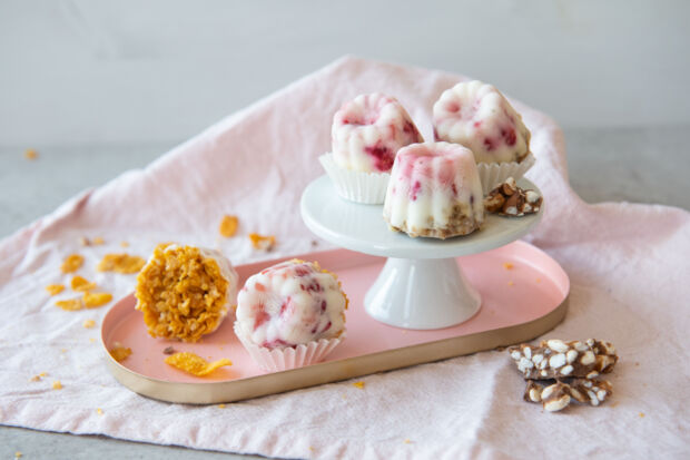 Frozen Yogurt Bites frozen yogurt bites