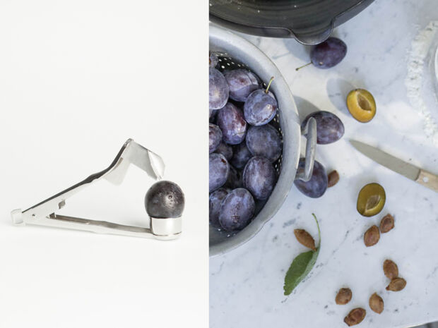 Pflaumenentsteiner von GSD