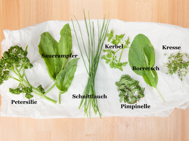 Rezept für Frankfurter Grüne Soße | Kitchengirls