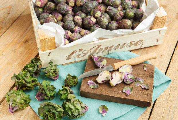 Roter Rosenkohl und Flower Sprouts Roter Rosenkohl und Flower Sprosst liegen auf dem Tisch
