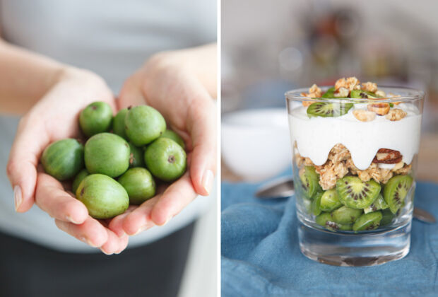 Negri - kleine Kiwis