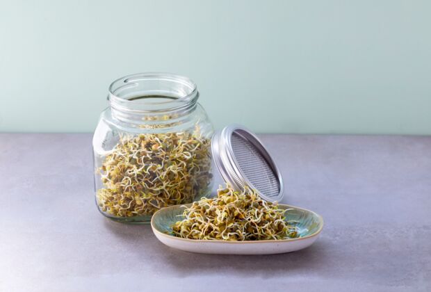 Seasons_13385813_HiRes_Berglinsen_im_Glas_keimen